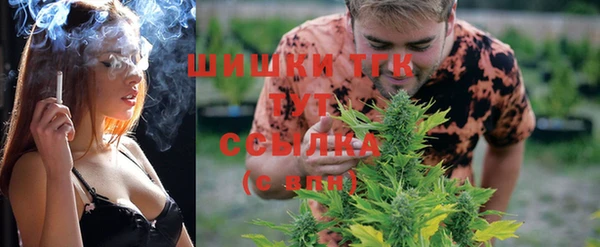 МДПВ Семилуки